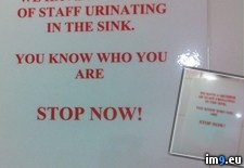 Tags: bathroom, work, wtf (Pict. in My r/WTF favs)