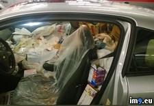 Tags: cars, customer, dropped, friend, mechanic, one, was, wtf (Pict. in My r/WTF favs)