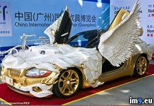 Tags: bmw, bone, dragon, gold, tail, wings, wtf, yak (Pict. in My r/WTF favs)