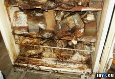 Tags: broke, broken, fridge, grandfather, remained, wtf, years (Pict. in My r/WTF favs)
