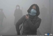 Tags: china, harbin, international, smog, standards, wtf (Pict. in My r/WTF favs)