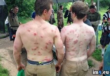 Tags: bachelor, fun, paintball, party, wtf (Pict. in My r/WTF favs)