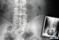 Tags: wtf (Pict. in My r/WTF favs)