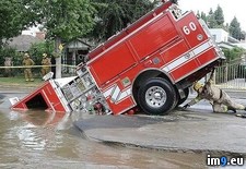 Tags: got, guys, hold, wtf (Pict. in My r/WTF favs)