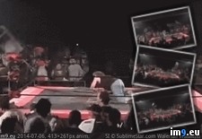 Tags: crowd, guess, wrestler, wtf (GIF in My r/WTF favs)