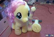 Tags: all, but, far, for, let, little, live, people, pony, shit, too, way, wtf (Pict. in My r/WTF favs)