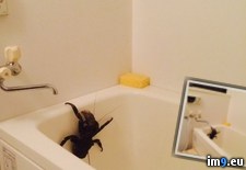 Tags: wtf (Pict. in My r/WTF favs)