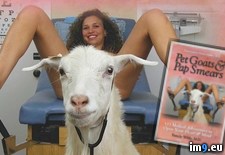 Tags: goats, google, images, pet, searched, wtf (Pict. in My r/WTF favs)