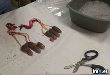 Tags: feeling, fingers, lost, wtf (Pict. in My r/WTF favs)