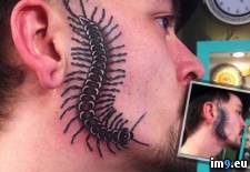 Tags: centipede, face, friend, tattoo, told, wtf (Pict. in My r/WTF favs)