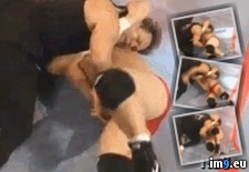 Tags: fight, gotta, win, wtf, you (GIF in My r/WTF favs)
