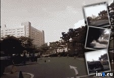 Tags: insurance, peoplebeingjerks, scam, wtf (GIF in My r/WTF favs)