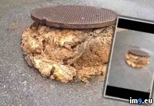 Tags: forced, friday, lot, manhole, rained, sewage, wtf (Pict. in My r/WTF favs)