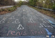 Tags: average, day, penis, trail, walking, wtf (Pict. in My r/WTF favs)