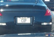 Tags: classy, keeping, wtf (Pict. in My r/WTF favs)