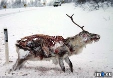 Tags: collection, creepiest, internet, large, wtf (Pict. in My r/WTF favs)