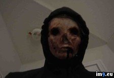 Tags: collection, creepiest, internet, large, wtf (Pict. in My r/WTF favs)