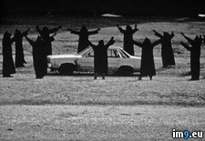 Tags: collection, creepiest, internet, large, wtf (Pict. in My r/WTF favs)