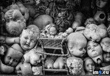 Tags: collection, creepiest, internet, large, wtf (Pict. in My r/WTF favs)