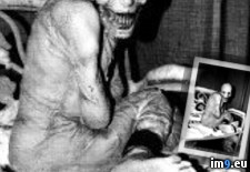 Tags: collection, creepiest, internet, large, wtf (Pict. in My r/WTF favs)