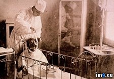 Tags: collection, creepiest, internet, large, wtf (Pict. in My r/WTF favs)