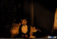 Tags: collection, creepiest, internet, large, wtf (Pict. in My r/WTF favs)