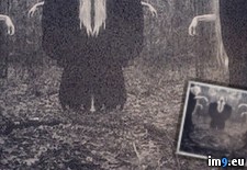 Tags: collection, creepiest, internet, large, wtf (Pict. in My r/WTF favs)