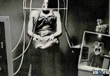 Tags: collection, creepiest, internet, large, wtf (Pict. in My r/WTF favs)