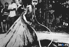 Tags: collection, creepiest, internet, large, wtf (Pict. in My r/WTF favs)