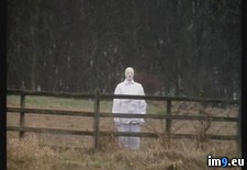 Tags: collection, creepiest, internet, large, wtf (Pict. in My r/WTF favs)