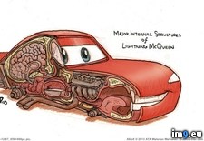 Tags: dissection, lightning, mcqueen, wtf (Pict. in My r/WTF favs)