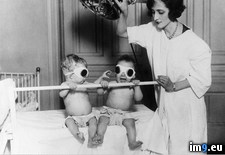 Tags: album, medicine, wtf (Pict. in My r/WTF favs)