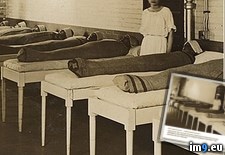 Tags: album, medicine, wtf (Pict. in My r/WTF favs)