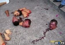 Tags: brutality, cartel, death, drug, mexican, warning, wtf (Pict. in My r/WTF favs)