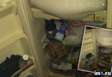 Tags: all, asked, defrost, freezer, friend, him, ice, metal, pick, recycler, scrap, wtf (Pict. in My r/WTF favs)