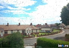 Tags: house, street, swarmed, wasps, wtf (Pict. in My r/WTF favs)