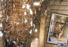 Tags: cables, cute, lebanese, line, phone, power, thai, wires, wtf (Pict. in My r/WTF favs)