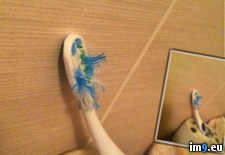 Tags: brush, mates, room, tooth, wtf (Pict. in My r/WTF favs)