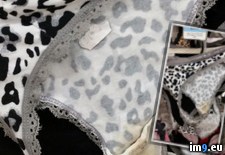 Tags: clothes, shopping, sister, wtf (Pict. in My r/WTF favs)