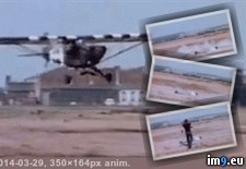 Tags: airplane, filming, hit, news, reporter, wtf (GIF in My r/WTF favs)