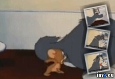 Tags: context, wtf (GIF in My r/WTF favs)