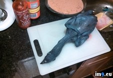 Tags: black, chicken, delivers, fried, ordered, skinned, wtf (Pict. in My r/WTF favs)