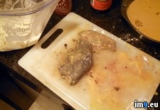 Tags: black, chicken, delivers, fried, ordered, skinned, wtf (Pict. in My r/WTF favs)