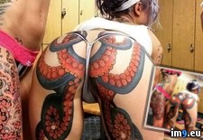Tags: wtf (Pict. in My r/WTF favs)