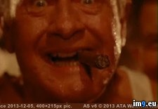 Tags: fucked, one, party, wtf (Pict. in My r/WTF favs)