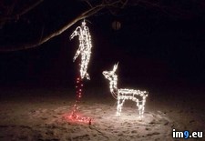 Tags: south, wtf (Pict. in My r/WTF favs)