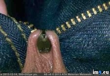 Tags: pain, wtf (Pict. in My r/WTF favs)