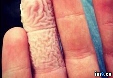 Tags: finger, nasty, wtf (Pict. in My r/WTF favs)