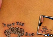 Tags: gonna, regret, wtf (Pict. in My r/WTF favs)