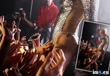 Tags: fans, loves, wtf (Pict. in My r/WTF favs)